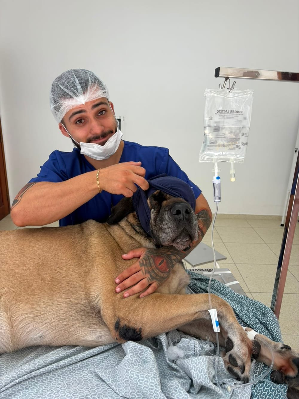 Veterinário paramentado cuidando de um cão durante procedimento, cobrindo seus olhos com carinho