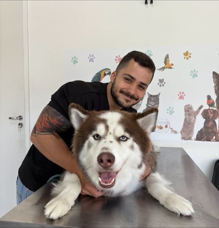 Husky siberiano de olhos azuis sorrindo na mesa de atendimento com o veterinário