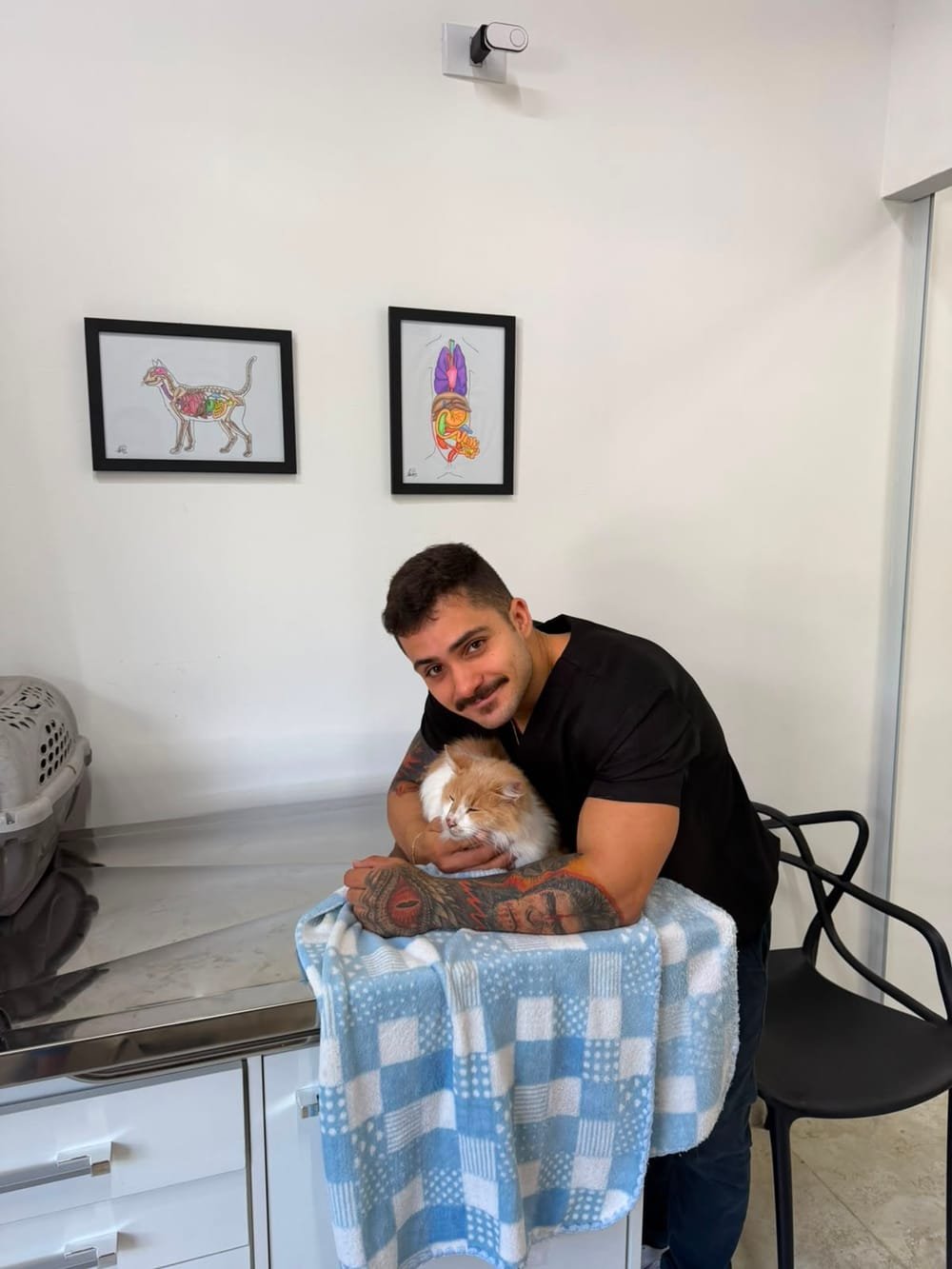 Veterinário da IlhaVet abraçando com carinho um gato de pelos claros na clínica